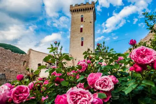 Lo Rocca Dei Trinci
