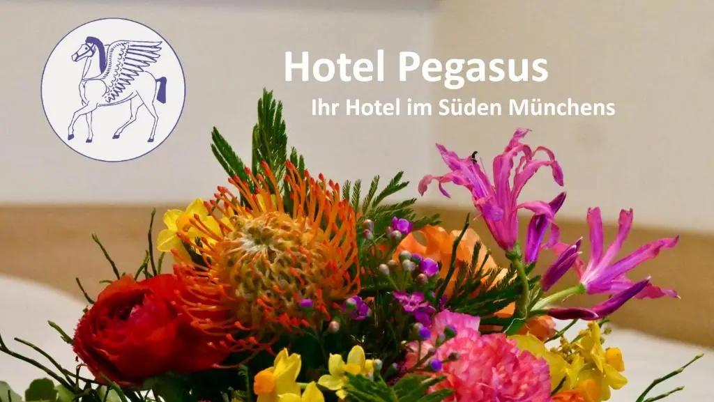 Pegasus - Chambres