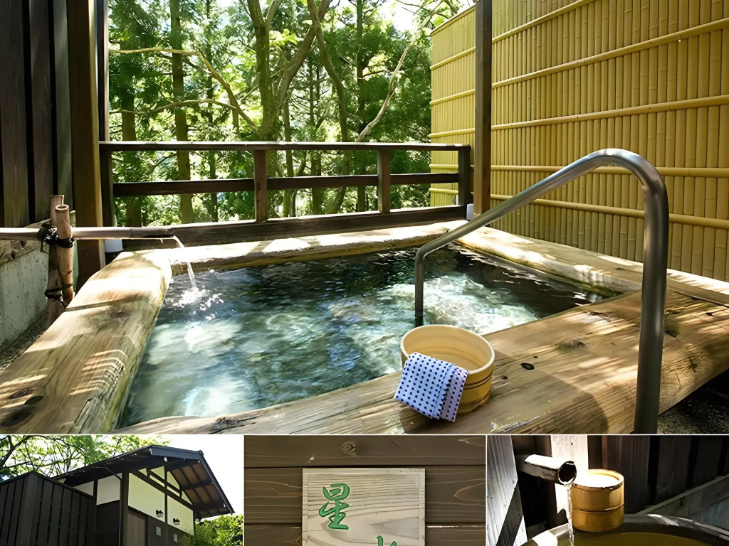 Sanyanagitei Ryokan - Général