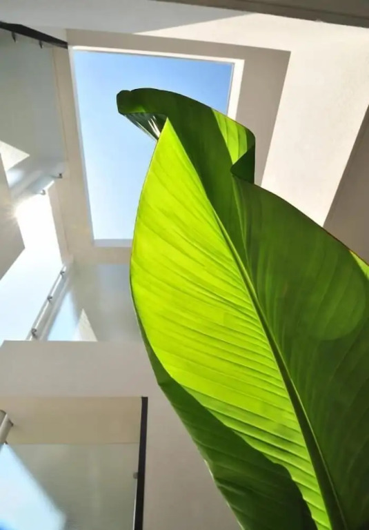 Hotel Eden Park by null