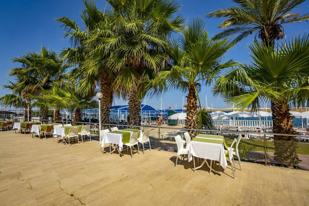 Beach & Waterfront