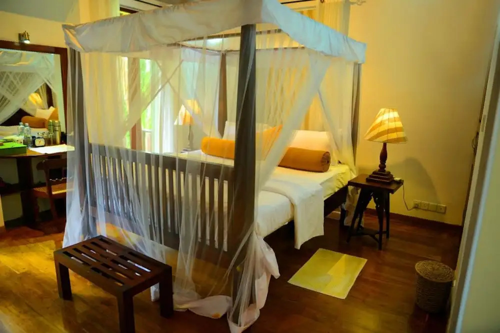 Tropical Retreat - Chambres