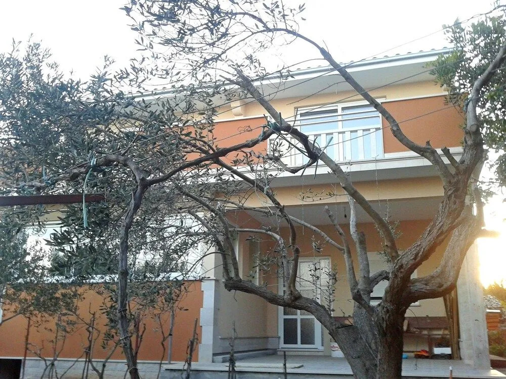 Apartments Miramaris
