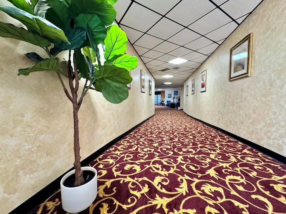 Lobby & Reception