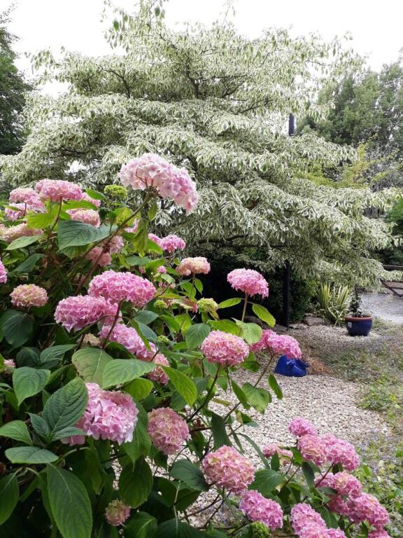 Stoneleigh Barn by null