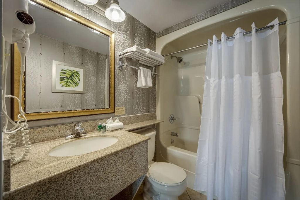 Monte Carlo Inn Vaughan Suites - Général