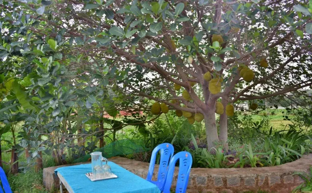Yelagiri Farm House