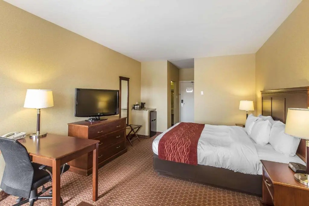 Comfort Hotel Airport - Chambres