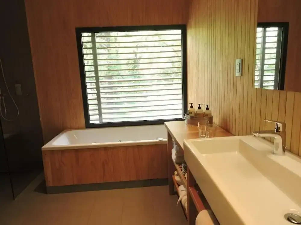 Premium Suite with balcony and with park view