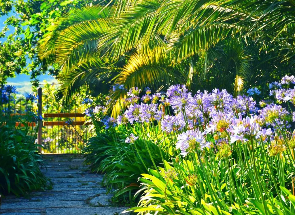 Quinta de San Amaro - Chambres