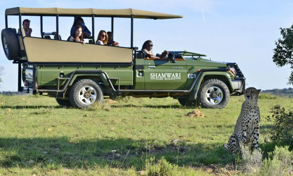 Shamwari Eagles Crag - фото 40