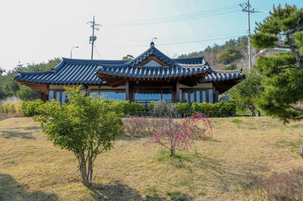 Image 19