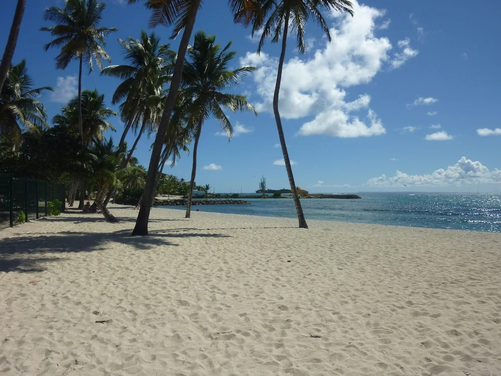 Beach & Waterfront