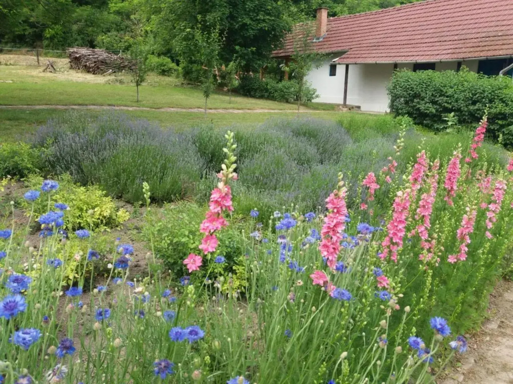 Orgona Ház - фото 7