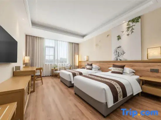 Superior Double room (twin beds)