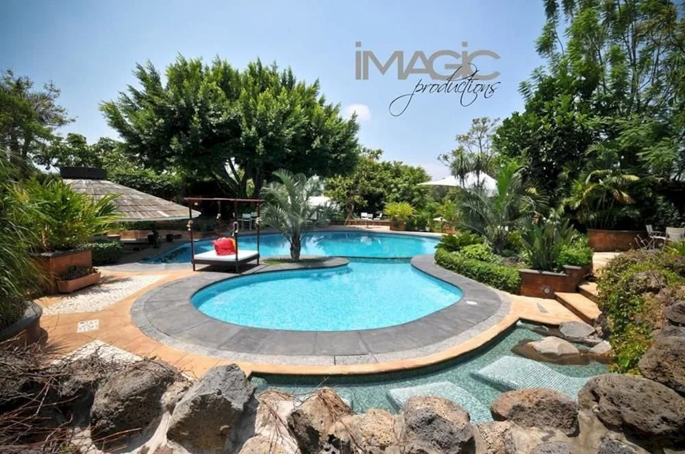 Los Tulipanes Hotel Boutique - Général