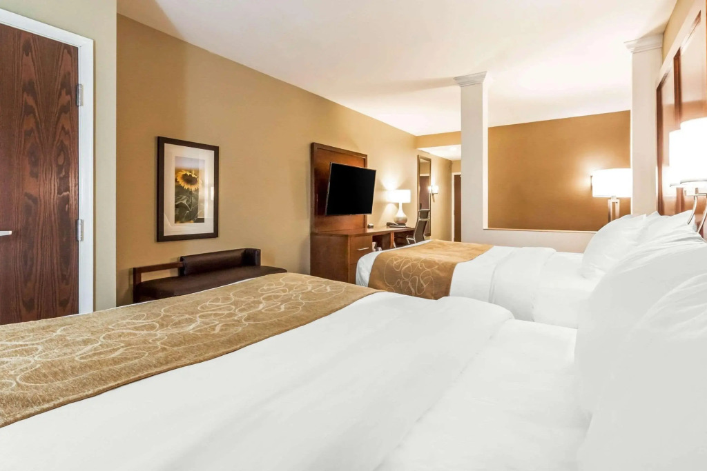 Comfort Suites University — фото 4