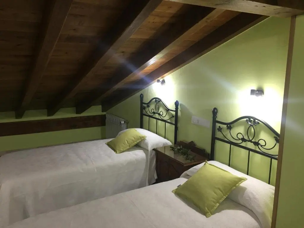 Standard Double room with mountain view (twin beds)