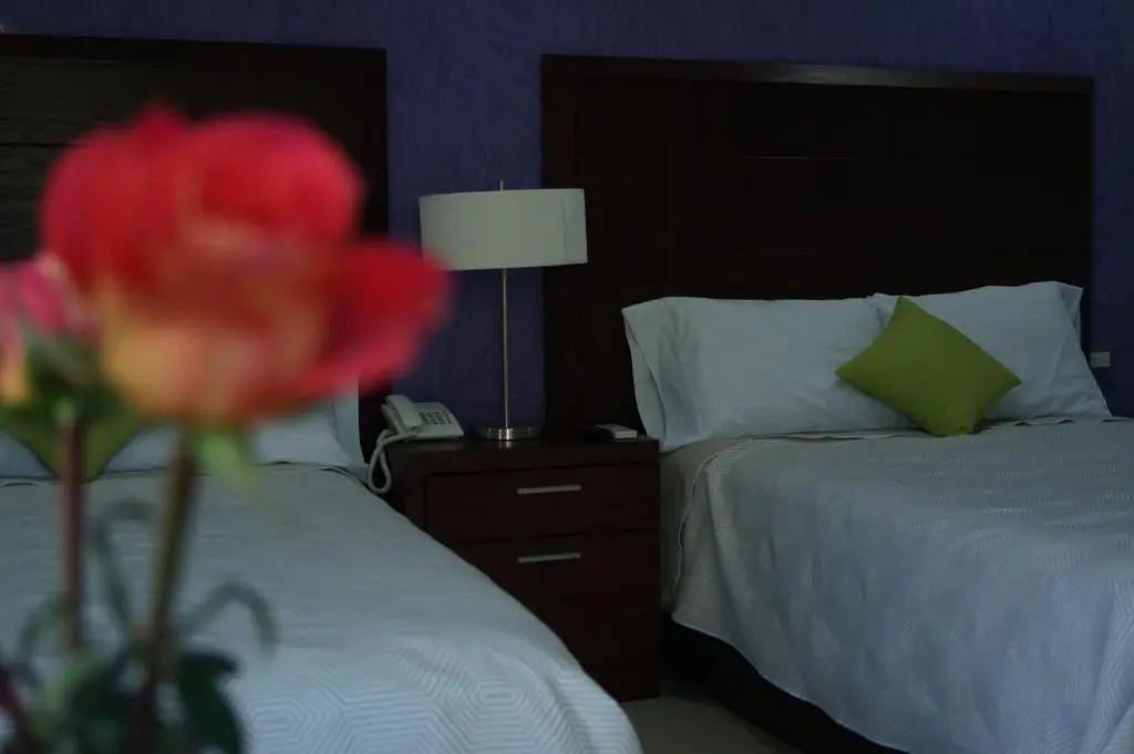 Hotel Casa Palomino - Chambres
