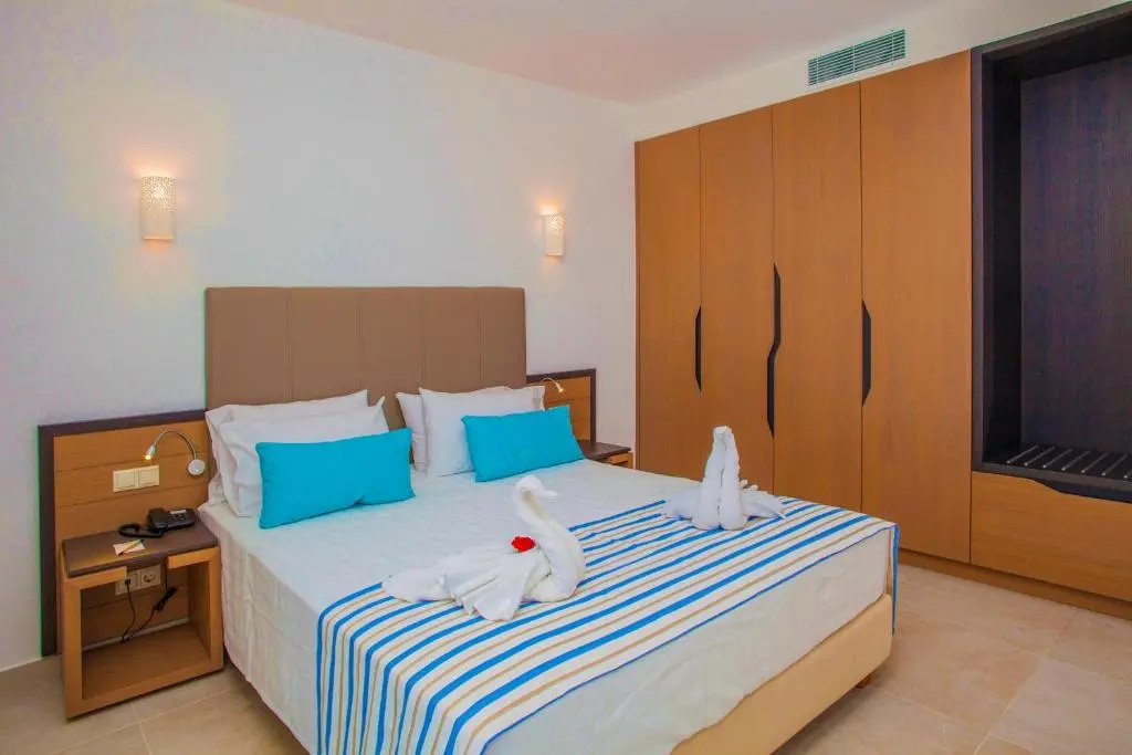 Deluxe Double room (twin beds)