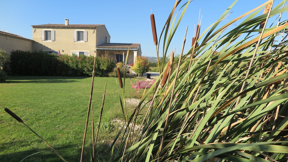 gite le Petit Luberon Lisianthus