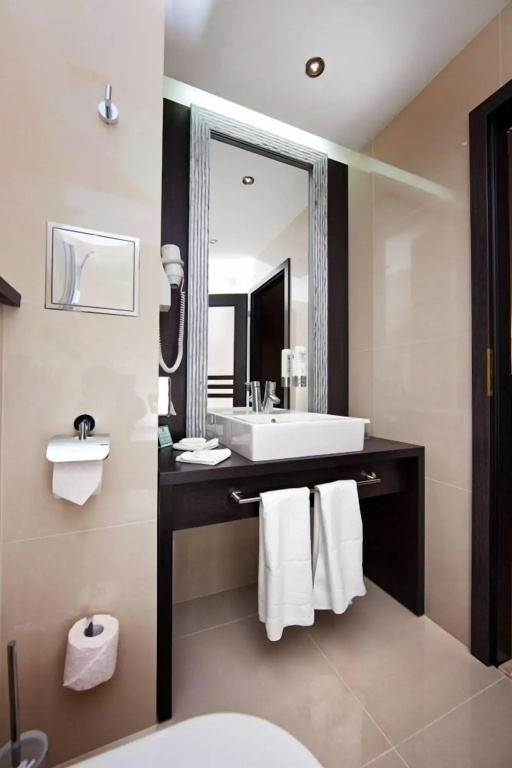 Holiday Inn Trnava by IHG - Général