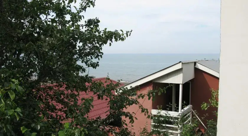 Image 6