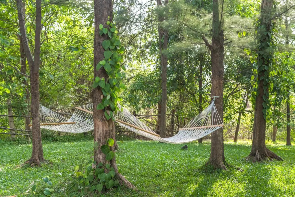 Saffronstays One Tree Farm, Karjat