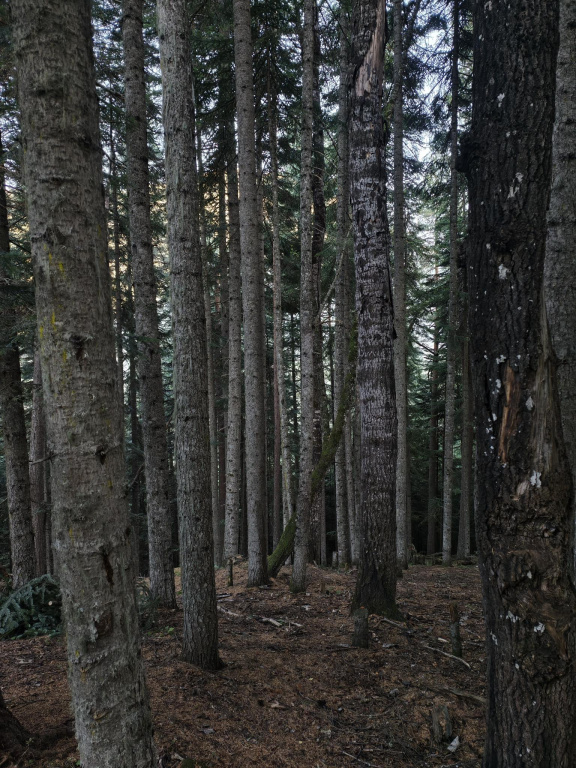 Hotel photo 41