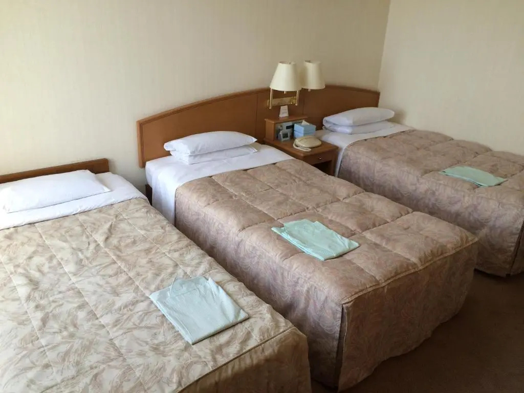 Sky Hotel Uozu Annex - Chambres