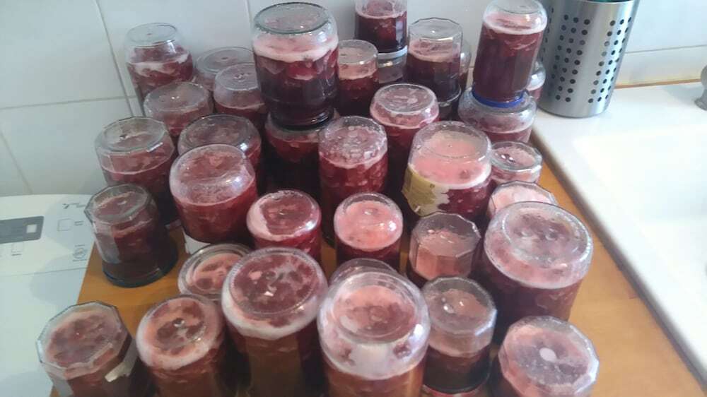 A Room in Paris by null