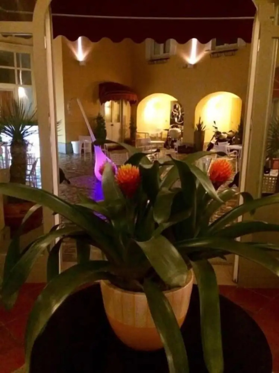 Hotel photo 36