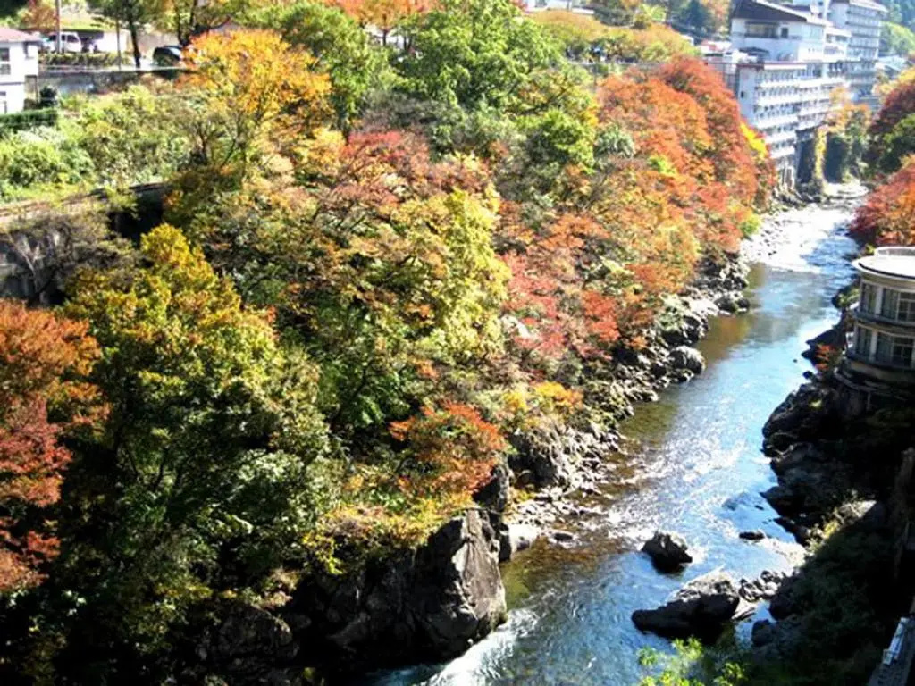 Minakami Hotel Juraku - Chambres