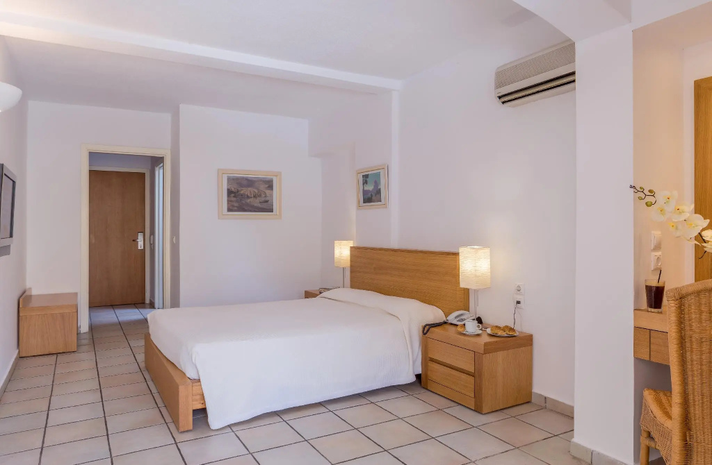 Standard Double room with mountain view (full double bed)