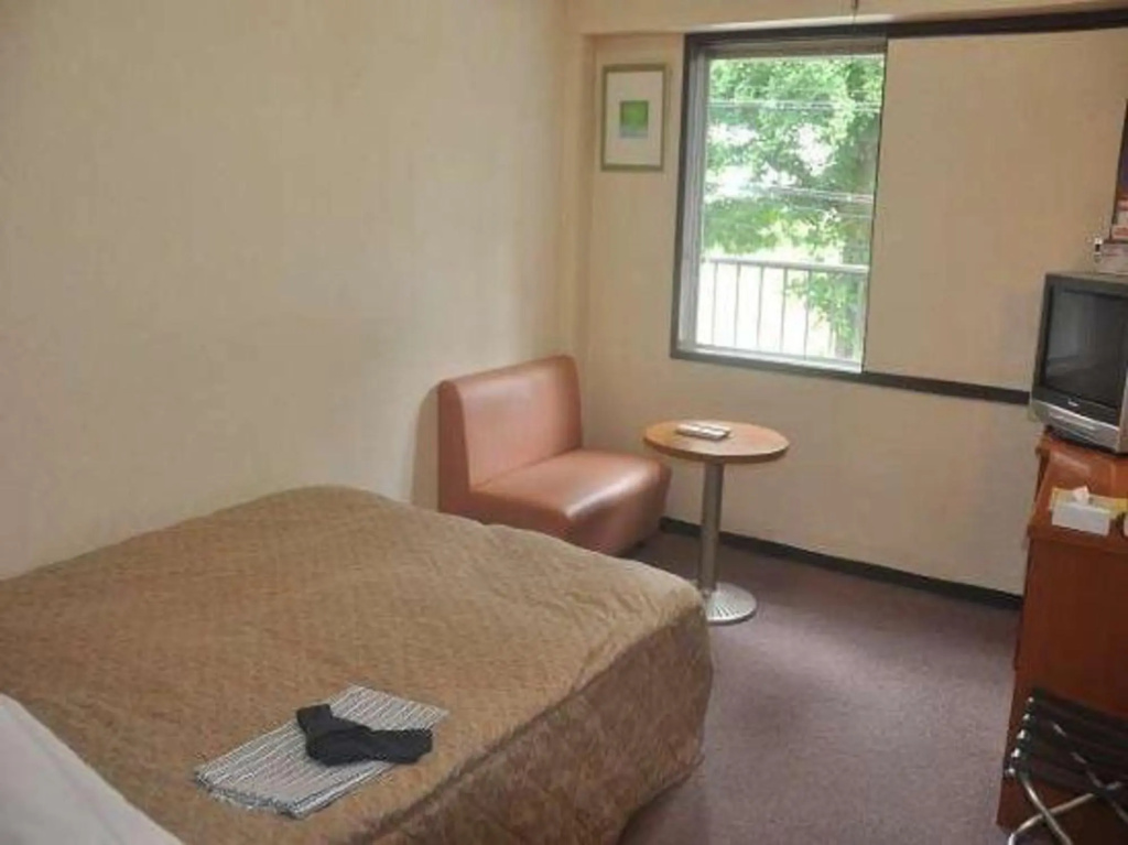 Okazaki Single Hotel