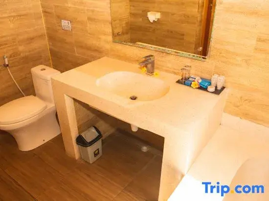 Deluxe Double room (twin beds)