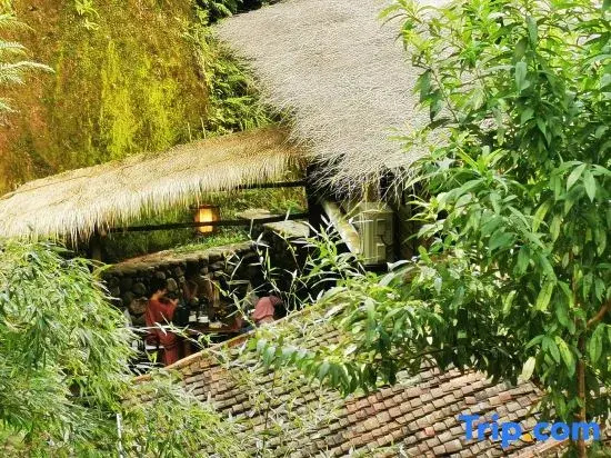Sanjing Shanju Guesthouse