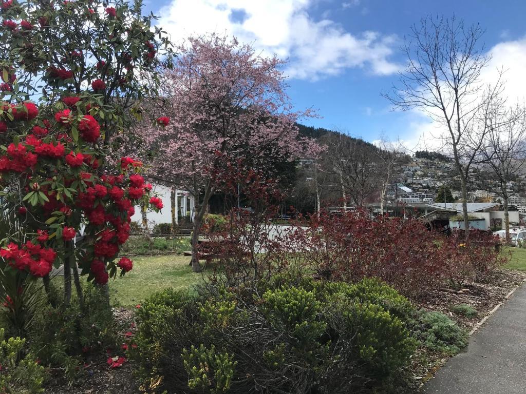 Image 10