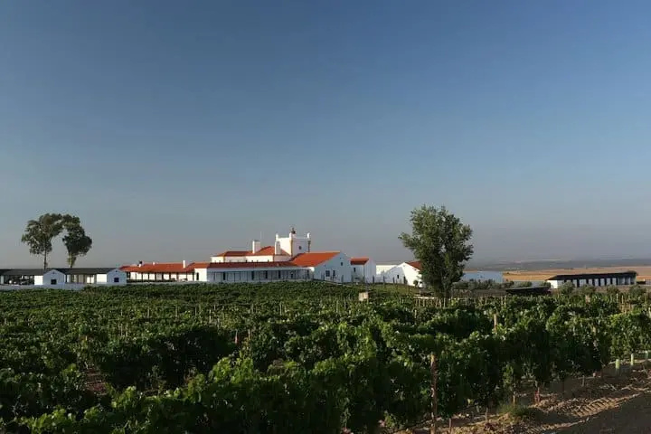 Torre de Palma Wine Hotel, Monforte, a Member of Design Hotels - Chambres