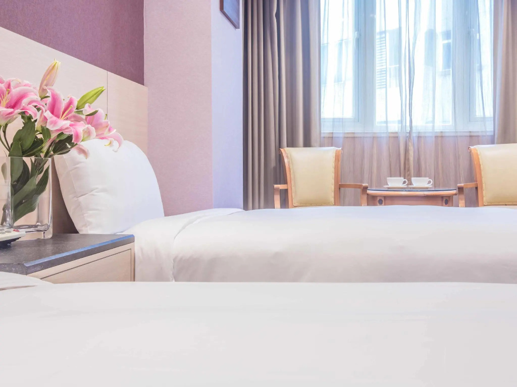 Standard Double room (twin beds)