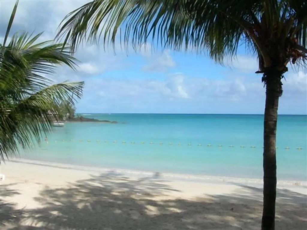 Dodola Lodge - Général