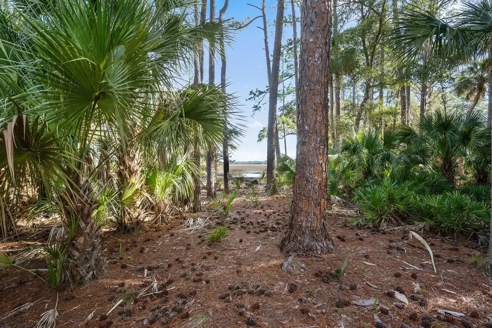 823 Bonito Rd