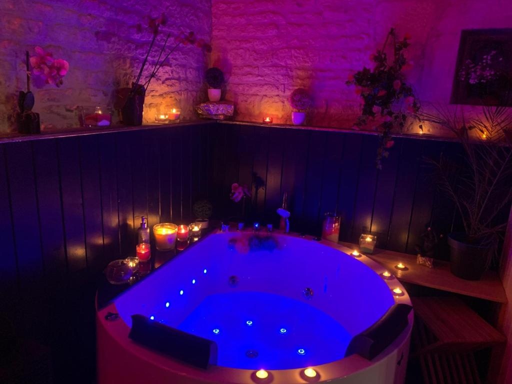 La Romance jacuzzi sauna de luxe jardin au calme