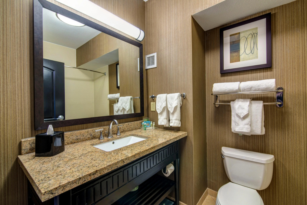 Holiday Inn Arlington NE-Rangers Ballpark by IHG - Général