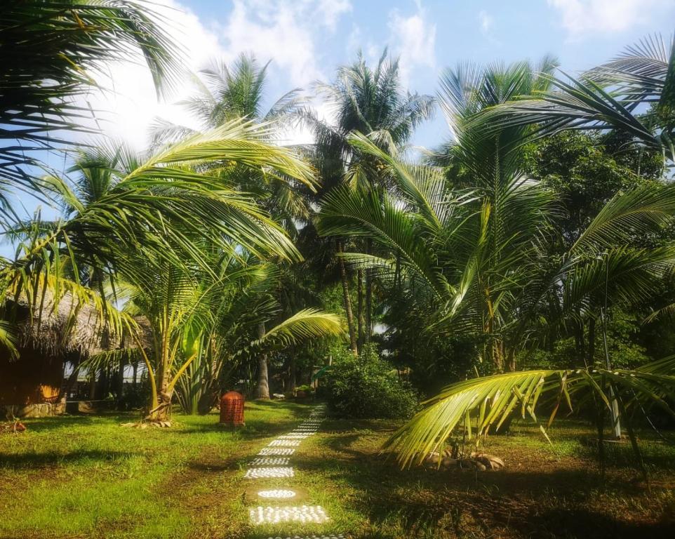 Coconut Island