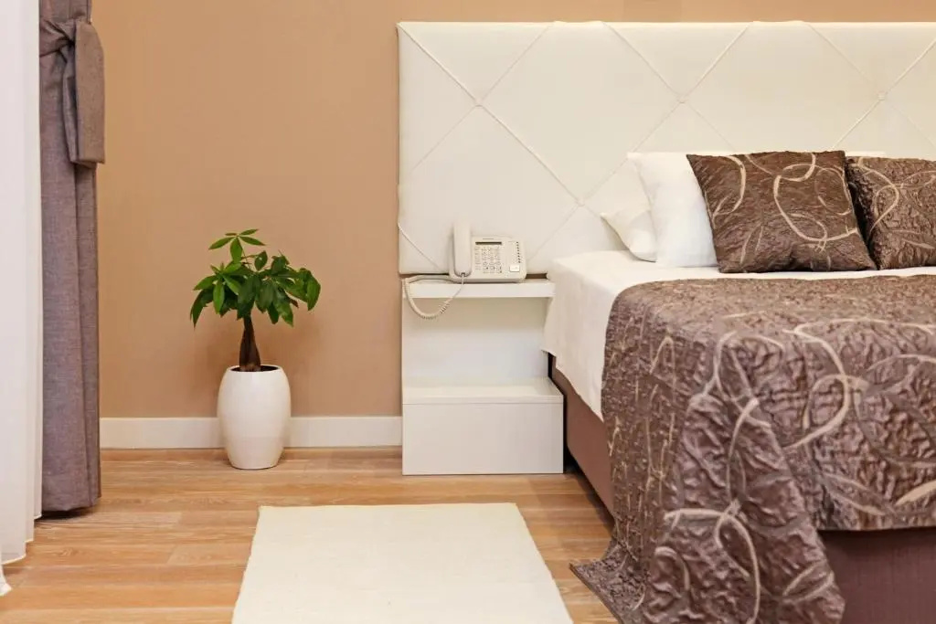 Deluxe Double room with balcony and with sea view (full double bed)
