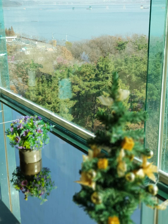 Balcony & Terrace