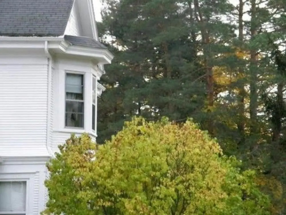 Lindsay House Bed and Breakfast