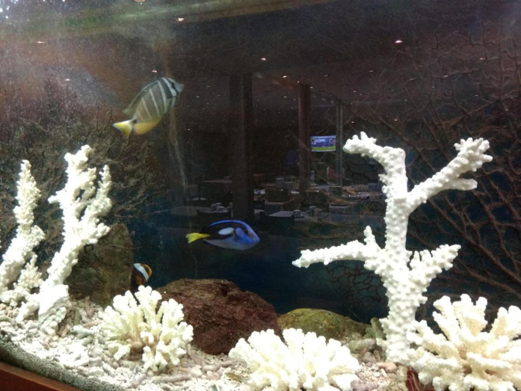 Hotel photo 28