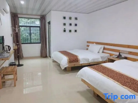 Deluxe Double room (full double bed)